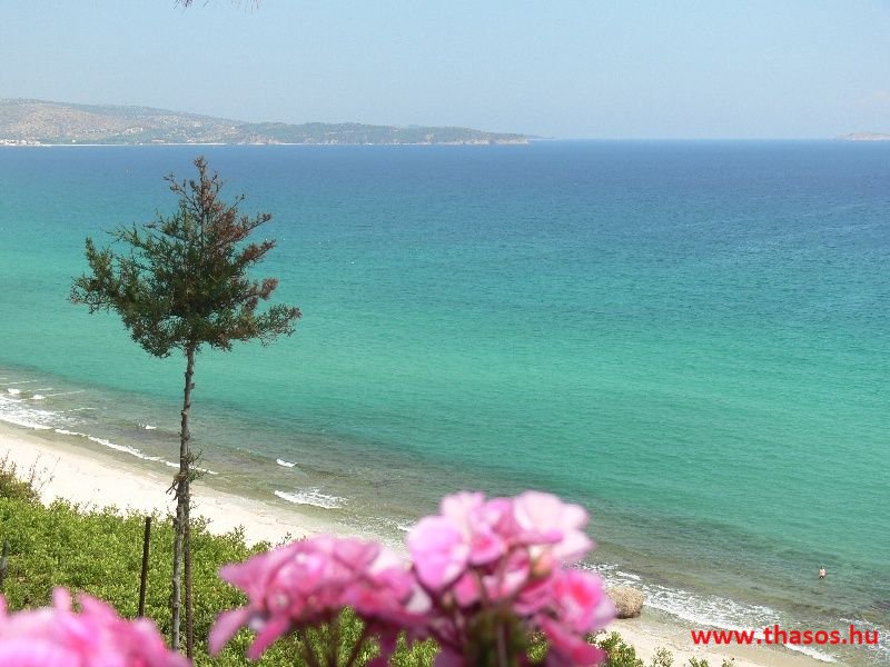 balazsh 2011